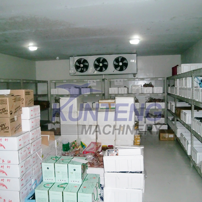 Industrial automatic outdoor walk in freezer units for sale cold room with windows fridge house for ice block