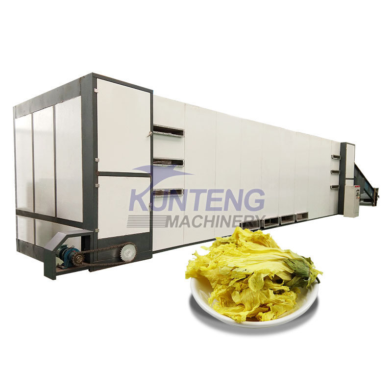 Large mesh belt dryer for vegetables dry fruit production banana flower tobacco leaf drying machine dehydrator making meat chips