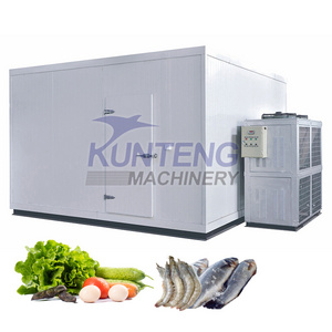 Commercial phenolic extruded polystyrene sandwich panel butchery chicken chiller cold rooms machine for sale in south africa