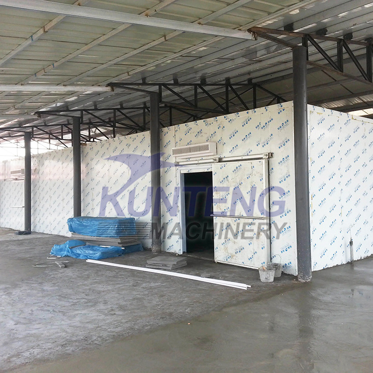 Big automatic low temperatures sliding door freezing equipment house for meat fish etc 10 ton mango cold store room insulation