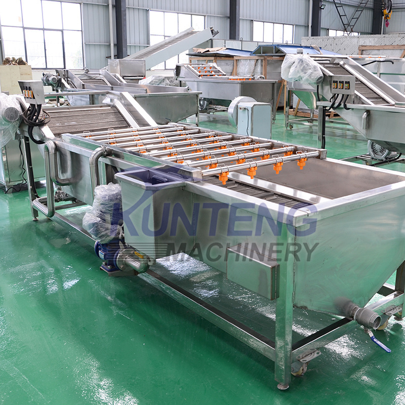 Automatic dried vegetable fruit sliced mango papaya palm date curcuma apricots chips making machine slice drying processing line