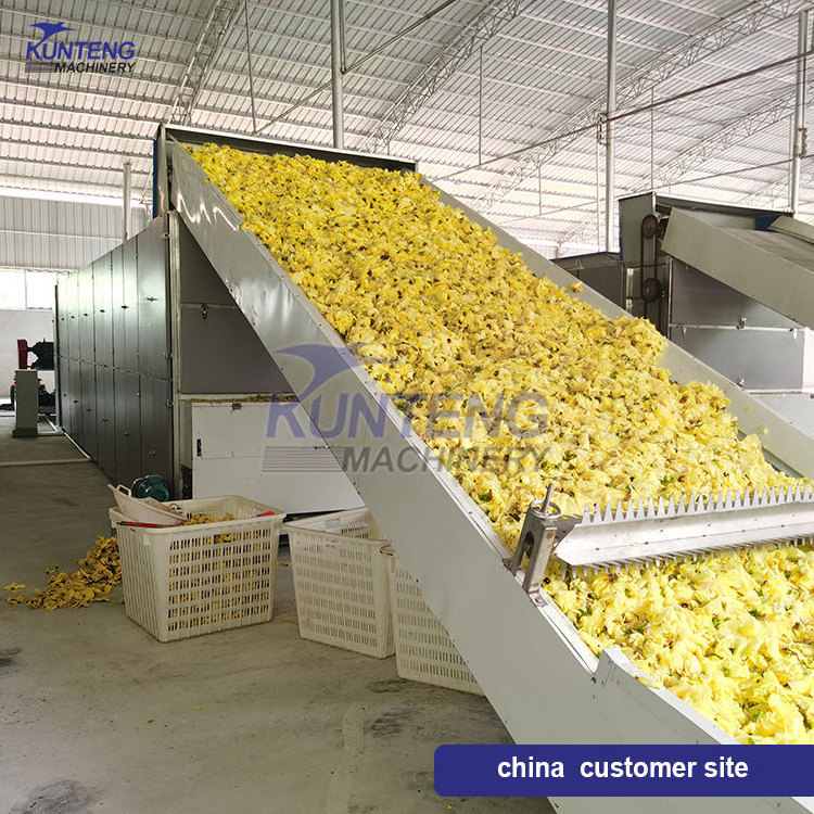 Large mesh belt dryer for vegetables dry fruit production banana flower tobacco leaf drying machine dehydrator making meat chips