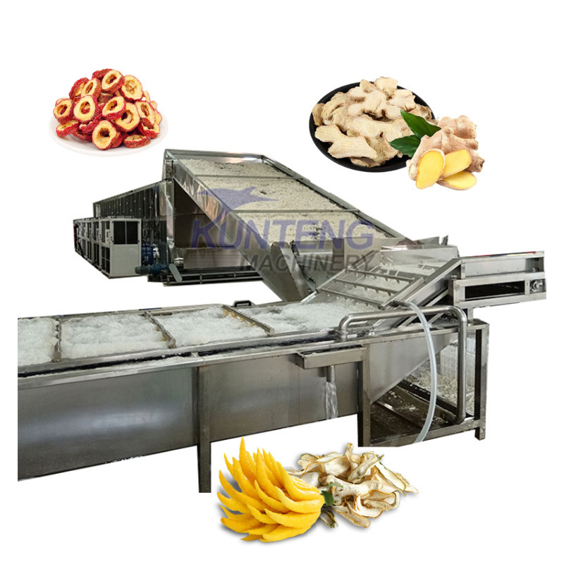 Automatic dried vegetable fruit sliced mango papaya palm date curcuma apricots chips making machine slice drying processing line