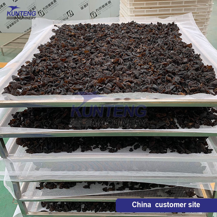 Electric drying equipment nutmeg dryer leaf dry machine seaweed drying machine hops dryer