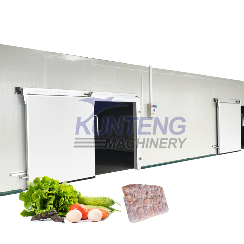 Big automatic low temperatures sliding door freezing equipment house for meat fish etc 10 ton mango cold store room insulation