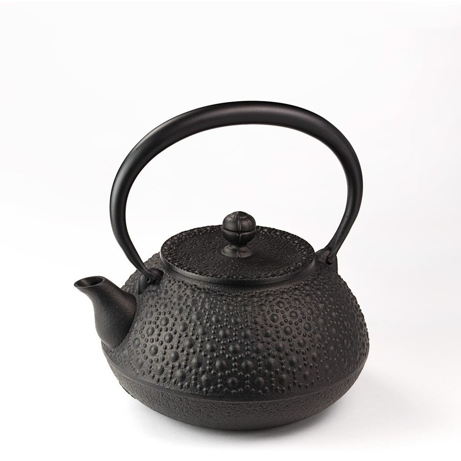 Camping mini drinkware cast iron tea pot