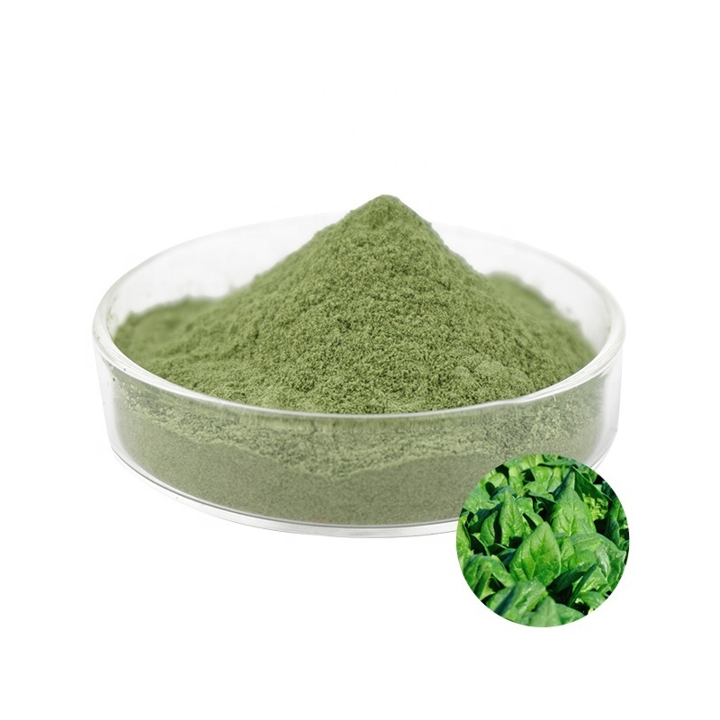 Bulk Freeze Dried Organic Dehydrated Spinach Powder