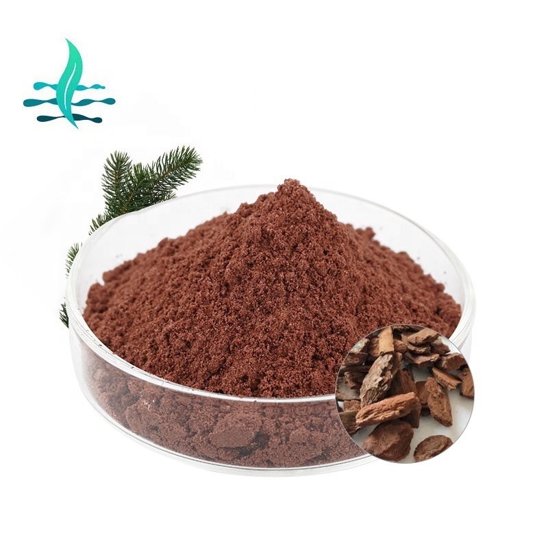 Manufacturer Direct Supply High Quality Pine Bark Extract 95% Proanthocyanidins