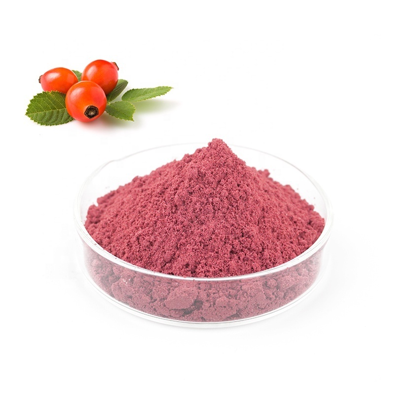 Manufacturer Supply Wholesale Rosehip Fruit Powder Rose Hip Extract