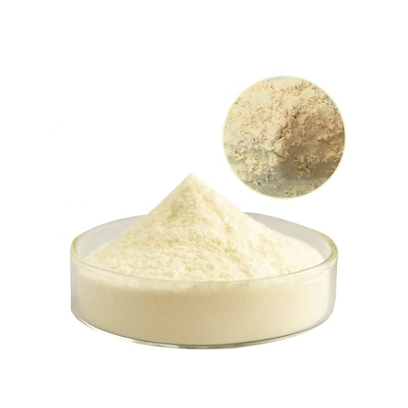 High Quality  Whey Protein Wholesale Whey Protein Wholesale Whey Protein