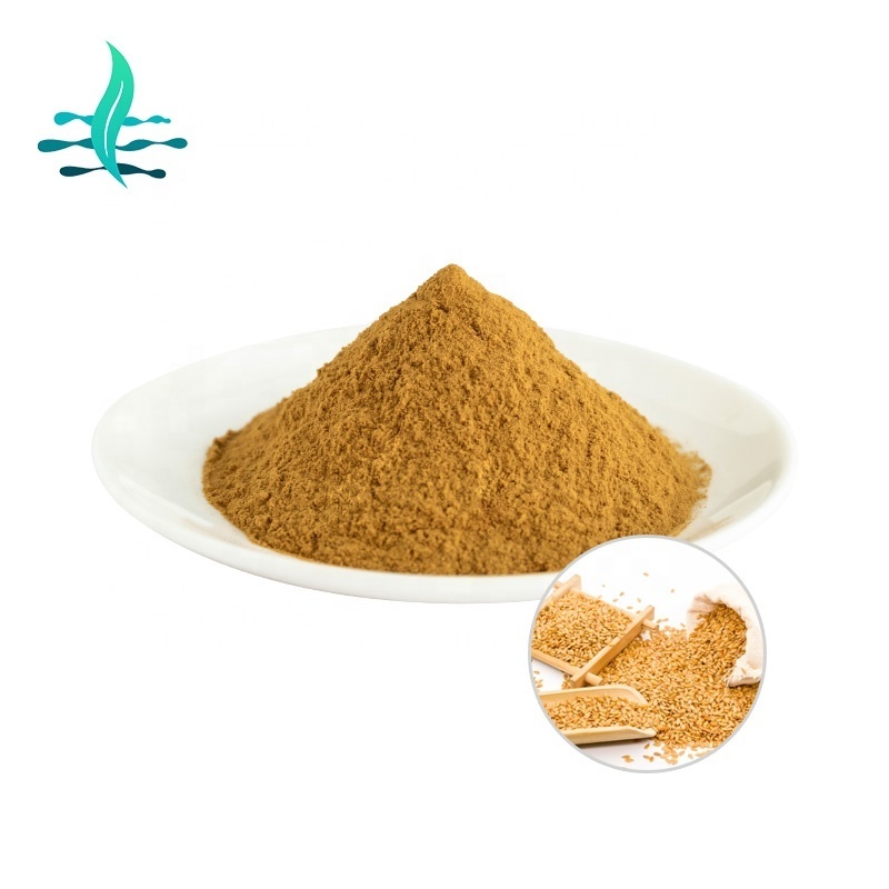 Lowest Price 100% Natural Organic Flaxseed Extract Hot Sale flaxseed oil powder linseed oil powder