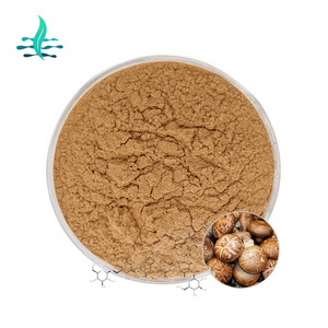 Hot Sale Shiitake Mushroom Extract Lentinan 30%-50%