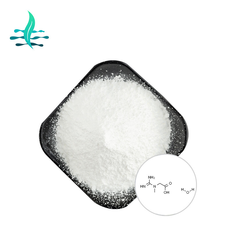 Hot Sell bulk creatine monohydrate powder creatine monohydrate 200mesh with free samples