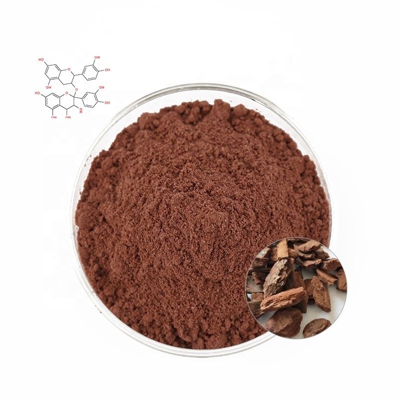 Manufacturer Direct Supply High Quality Pine Bark Extract 95% Proanthocyanidins