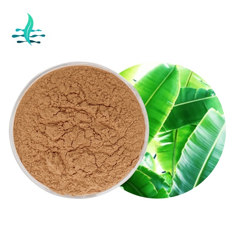 Hot selling pure natural banana leaf extract powder