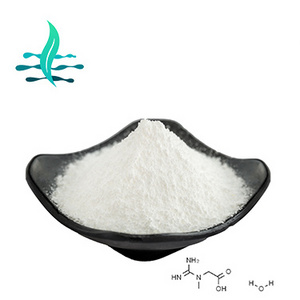 Hot Sell bulk creatine monohydrate powder creatine monohydrate 200mesh with free samples