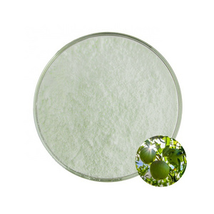 Wholesale high quality organic green apple juice concentrate powder