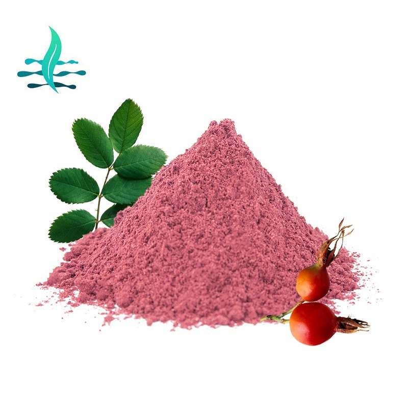 Manufacturer Supply Wholesale Rosehip Fruit Powder Rose Hip Extract