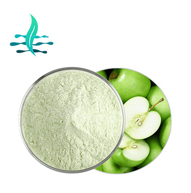 Wholesale high quality organic green apple juice concentrate powder