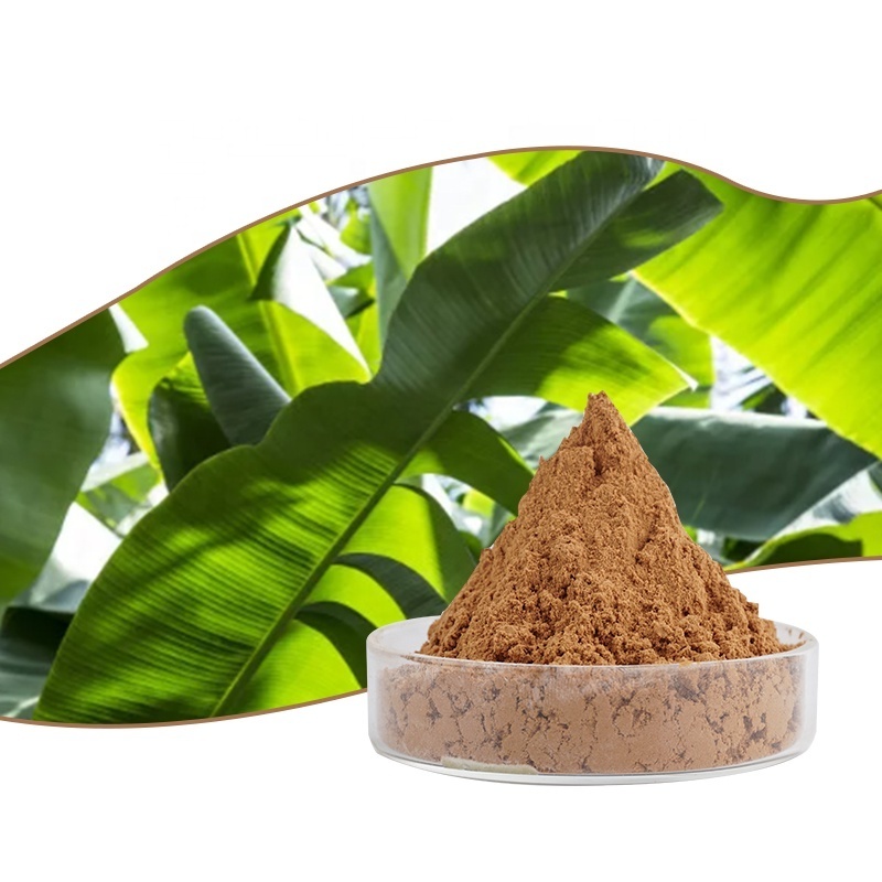 Hot selling pure natural banana leaf extract powder