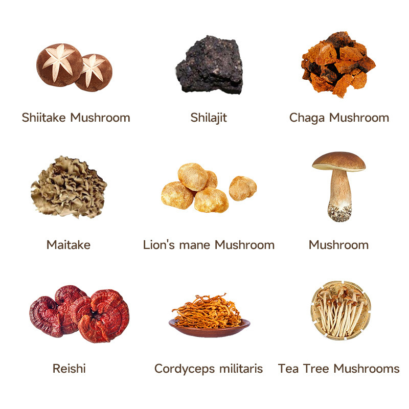 OEM Private Label Organic Mushroom Powder blend Cordyceps,Chaga,Ganoderma Reishi,Lions Mane Mushroom  Powder