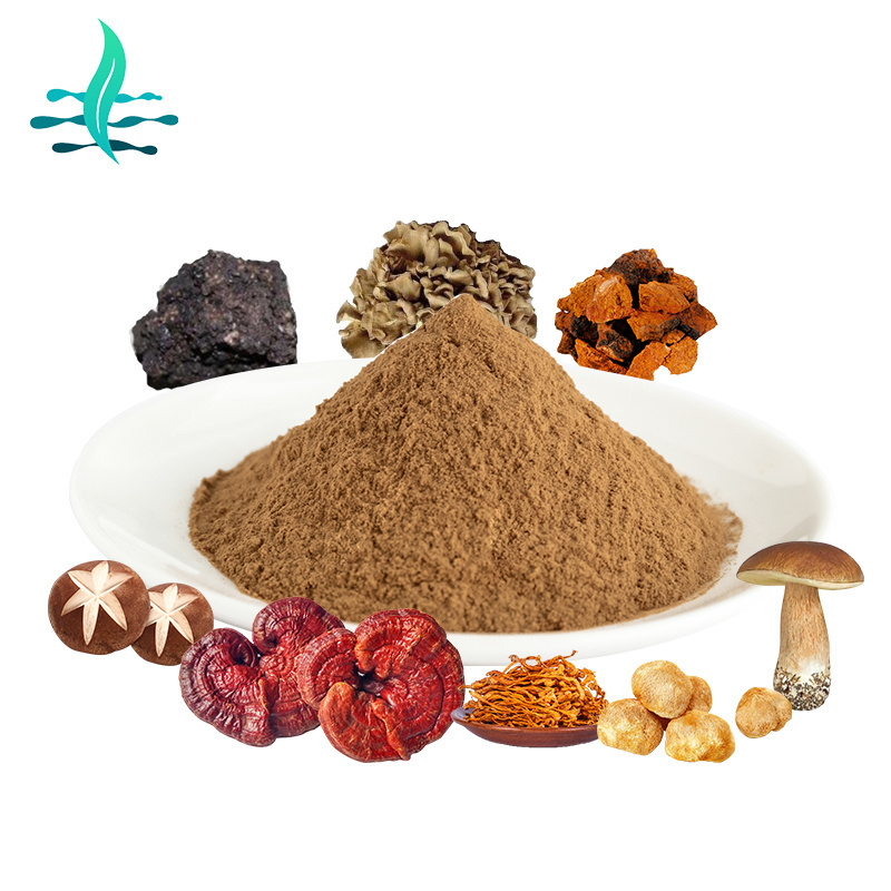 OEM Private Label Organic Mushroom Powder blend Cordyceps,Chaga,Ganoderma Reishi,Lions Mane Mushroom  Powder