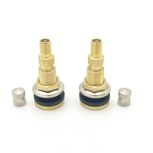 Tire Valves High Quality Brass Tire Valve Stem Core TRCH3 Factory Direct Supply for Truck and Agricultural Tractors Auto Parts