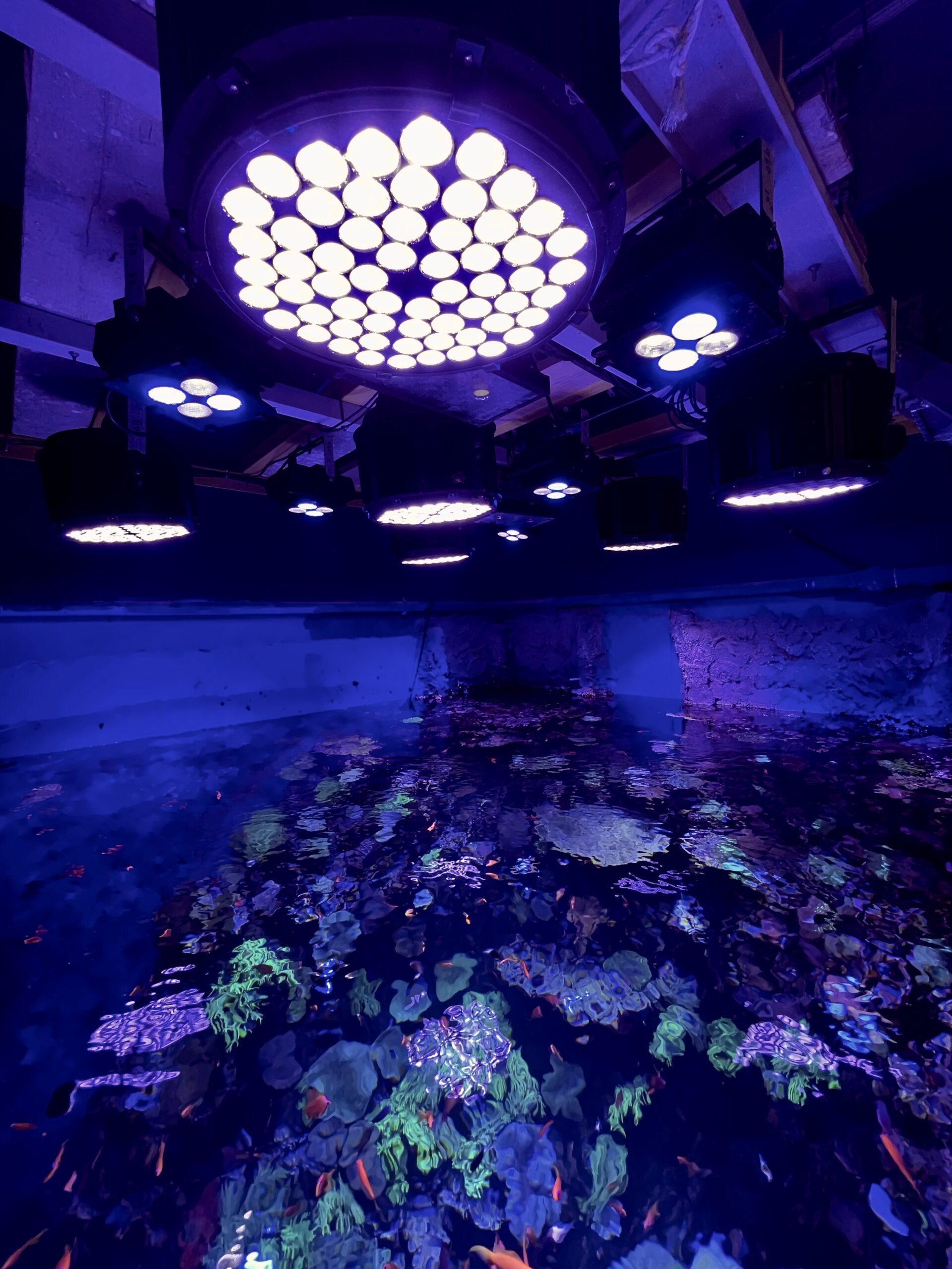 Underwater IP67 lighting led aquarium lights 400W 500W 600W marine dock port boat fishing lighting anti corrosion 7000K