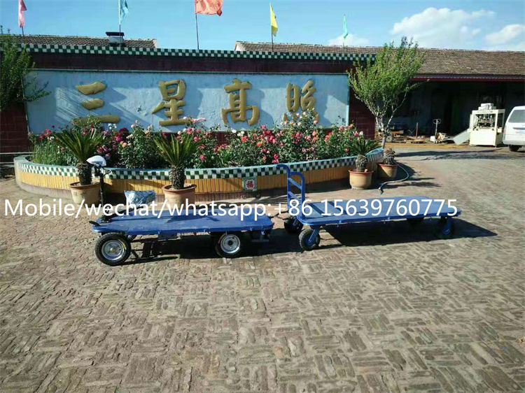 Electric hand trolley camping wagon cart electric electric flat truck