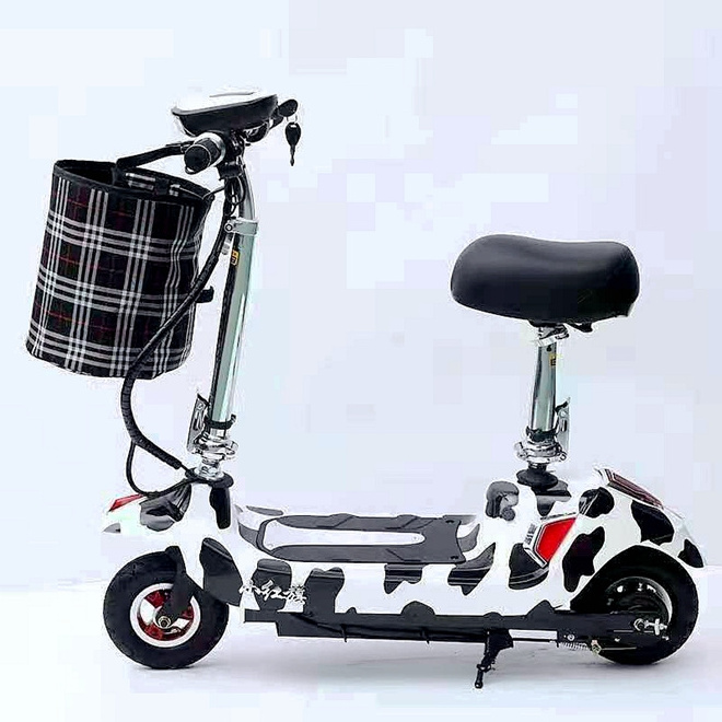 Electric bike side car electric bike cycle 48v