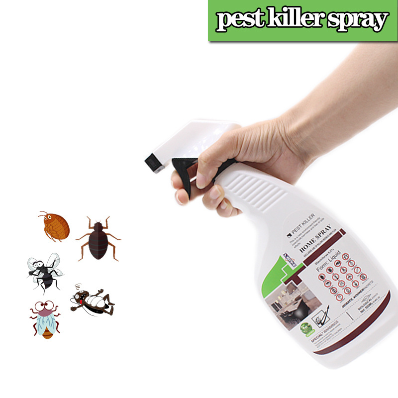 insect killer kill ants bed bugs spiders roaches flea flies for indoor and outdoor use insecticide spray insect killer spray