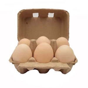 jruida 6 egg cartons brown Empty Egg box Pulp Each Holds 6 Eggs cartons container farm market