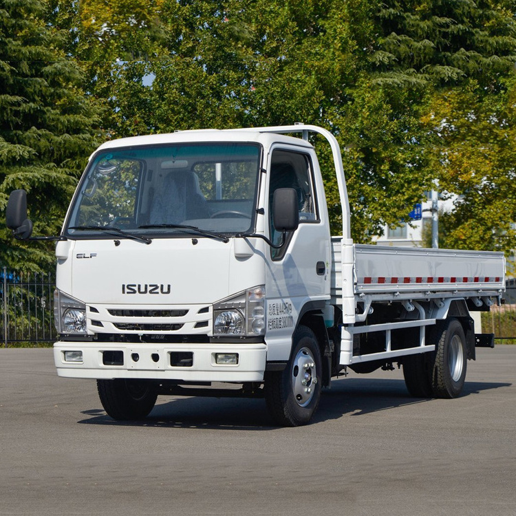 ISUZU 100P 2-4T 4x2 Light Cargo Mini Cargo Truck Price Camera Euro 3 Trucks Fuso Mt96 Roller Eicher Izuzu Truck Dump Manual Left