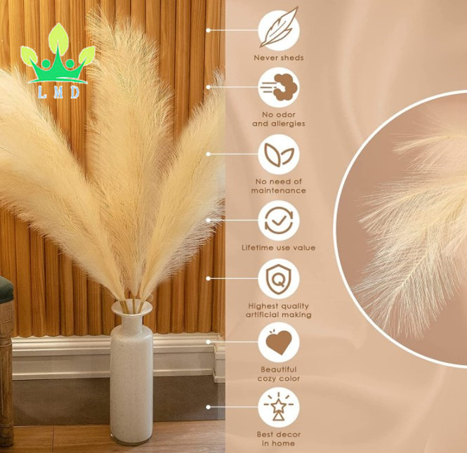 Pampas Grass 38