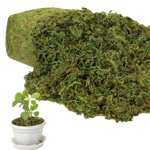 Artificial Moss for Potted Plants Natural Grass for Plants Indoor Craft Moss and Greenery Bulk Forest Moss for Hamsters