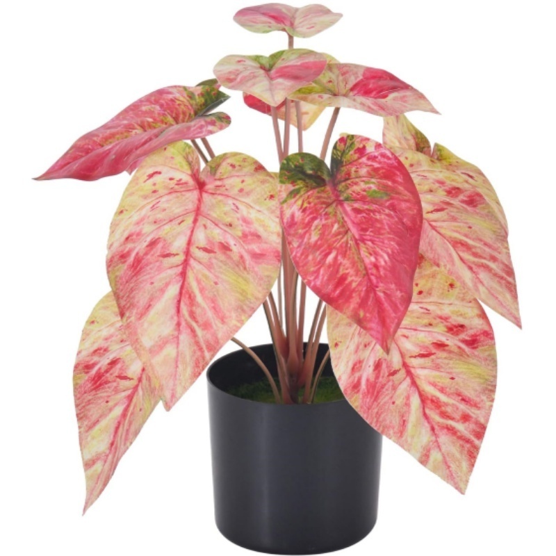 Artificial Potted Pink Caladium Plants Indoor Faux Taro Plant in Pots for Home Office Desk Bathroom Bedroom Greenery Decoration