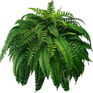 Boston Ferns Faux Hanging Plant Artificial Persian Rattan Outdoor UV Resistant Plastic Plants for Wall Garden Decor