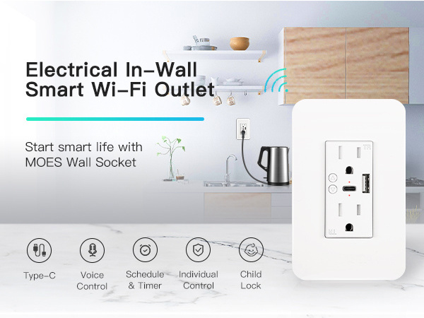 Wireless Tuya App Control wall outlet switch Plug 110-220V WIFI smart wall socket With USB and type C Charger Port