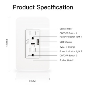 Wireless Tuya App Control wall outlet switch Plug 110-220V WIFI smart wall socket With USB and type C Charger Port