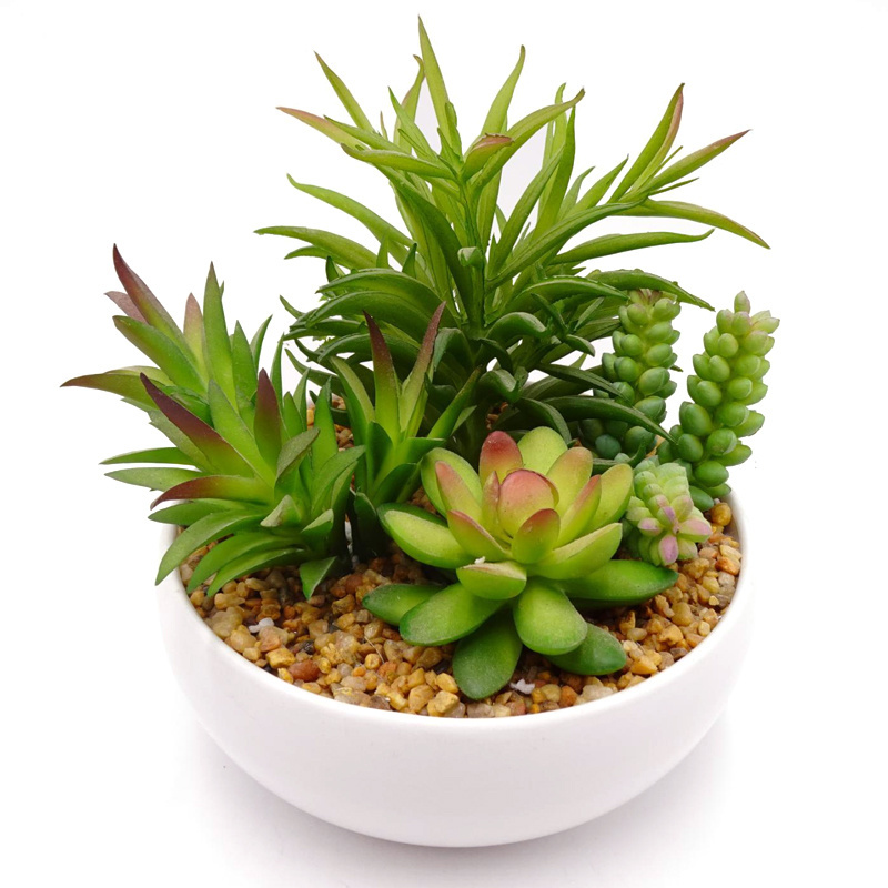 Wholesale Mixed Different Style Mini Artificial Rare Potted Succulent Lithops Plant Succulent for Decoration