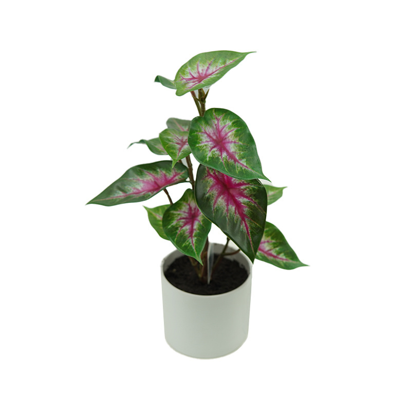 High Quality Artificial Potted Green Plants Real Touch Artificial Caladium Bicolor For Home Garden Decoration