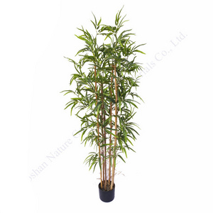 Hot Sale Cheap Indoor Decorative Artificial Plants Chinese Bamboo Plants Lucky Bamboo Indoor