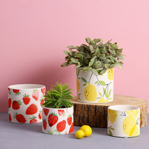 Cartoon creative fruit strawberry lemon pattern ceramic pot with tray strawberry size terracotta pot Green plant succulent pot