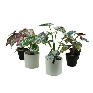 Wholesale Artificial Green Potted Plants Artificial Plastic Caladium Bicolor Pots For Indoor Outdoor Home Decor