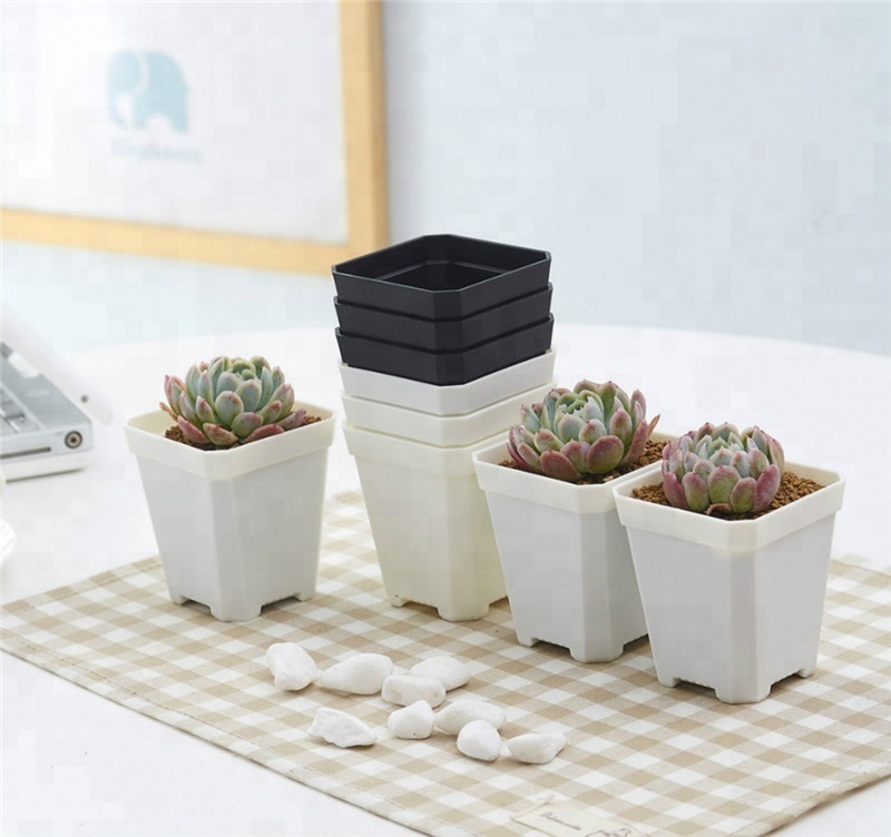 Cheap Plastic Bulk Square Flower Pot