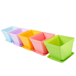 Home Decoration Garden Small Cheap Colorful Square Plastic Succulent Flower Planter Pots in Bulk