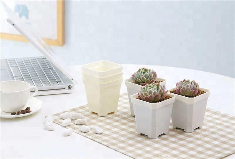 Cheap Plastic Bulk Square Flower Pot