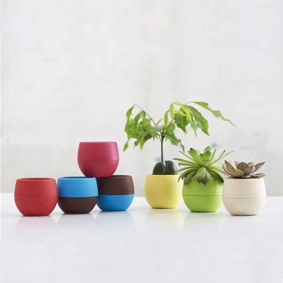 Cute Egg Shape Mini Colorful 4 inch Round Plastic Cactus Seed Starting Succulent Flower Pots With Drainage hole