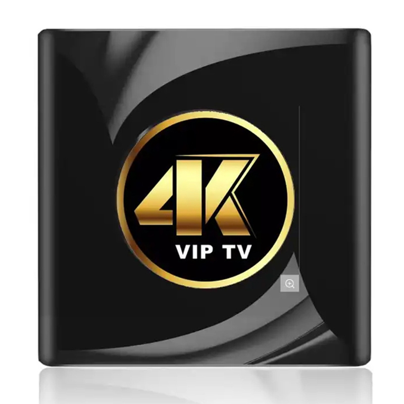 Android TV Box IPTV Subscription Italy Arabic Belgium Spain Sweden Nordic Portugal Canada USA For Smart IPTV M3u List