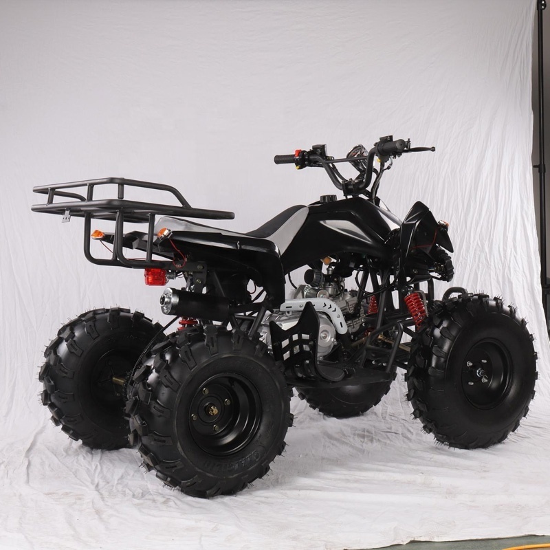 Chinese Cheap 150cc Atvs 300 Cc Engine 200cc 4 Wheeler ATV 1000cc 4x4 Can-Am For Adults Sale